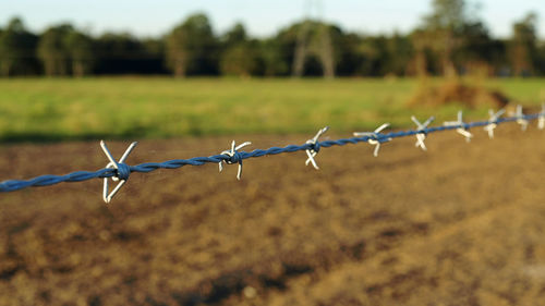 Close-up of barbed wire fence on field