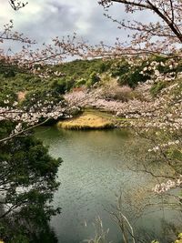 Scenic view of lake in forest against sky