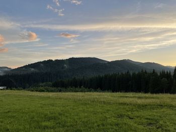 Scenic view of field against sky