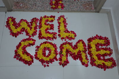 High angle view of multi colored flowers on wall