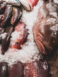 High angle view of fish for sale at market