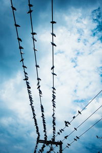 Low angle view of barbed wire against sky