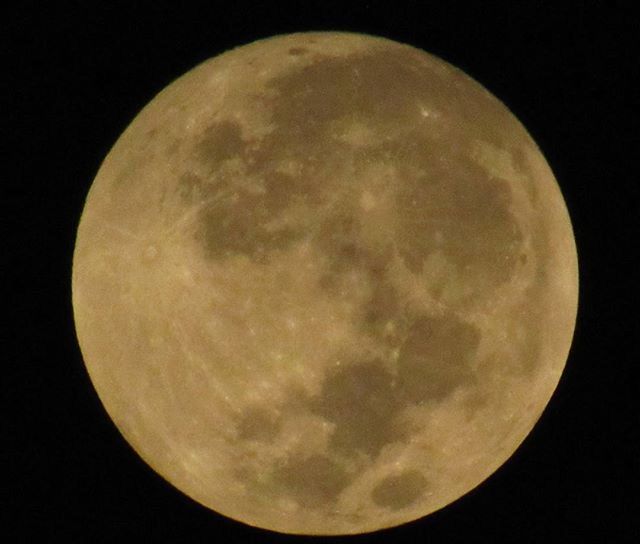 moon, astronomy, night, moon surface, planetary moon, full moon, circle, sphere, space exploration, discovery, low angle view, beauty in nature, sky, nature, dark, majestic, scenics, tranquility, tranquil scene, exploration