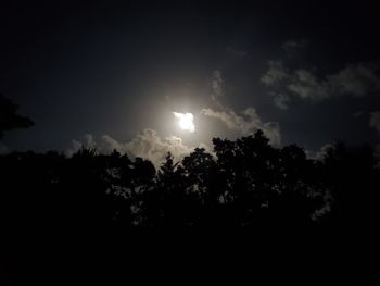 Low angle view of silhouette trees against sky at night