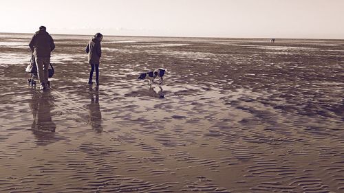 People on beach against sky