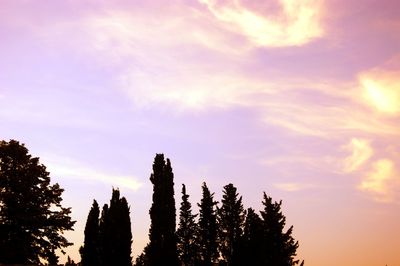 Low angle view of silhouette trees against sky during sunset
