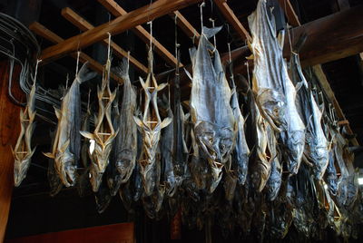 Close-up of fish hanging on clothesline