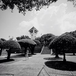 Trees in park