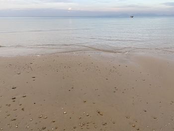 Scenic view of  wet sand beach against sky at low tide