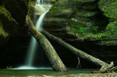 Scenic view of waterfall in forest