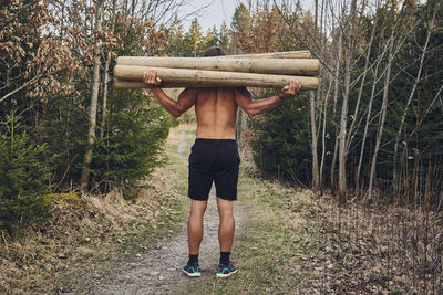 Rear view of man walking in forest