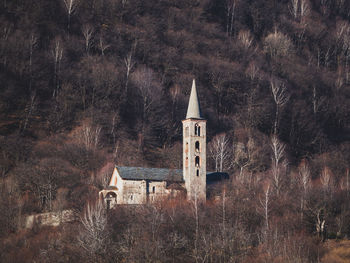 Clock tower amidst trees and building