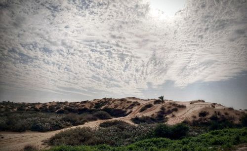 Scenic view of desert against sky