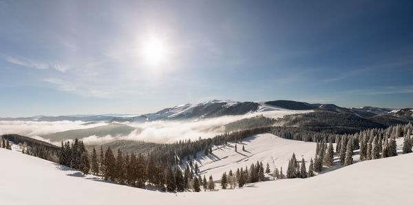 The beauty of winter on the snowy mountains. national park rodnei mountains - romania