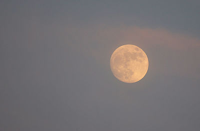 Low angle view of moon in sky