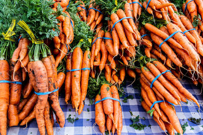 Organic farm produce orange carrots in bundles at farmer's market  tabletop display 
