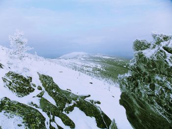 Scenic view of snow covered trees against sky