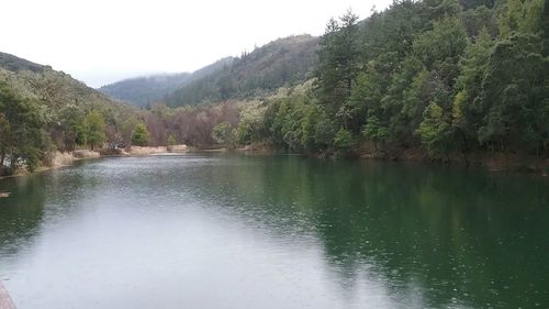 Scenic view of lake by trees against sky