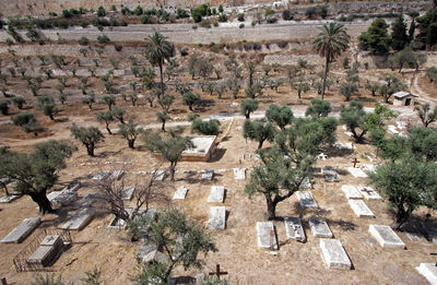 Christian cemetery on the mount of olives in jerusalem