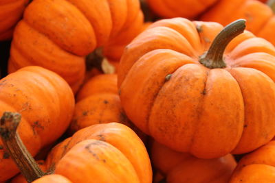 Full frame shot of pumpkins for sale at market stall