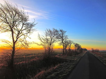 Road amidst bare trees against sky during sunset