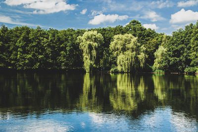 Trees by lake against sky