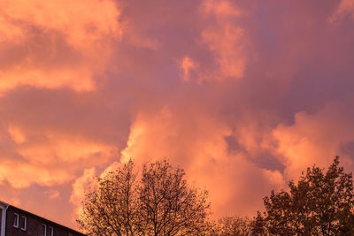 Low angle view of silhouette trees against orange sky