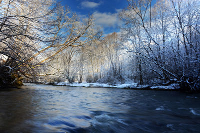 Bare trees by river against sky during winter