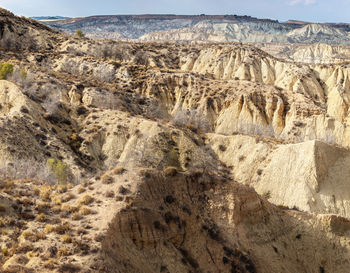 View of a desert