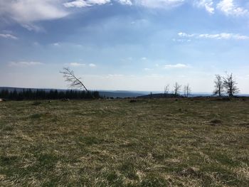 Scenic view of field against sky