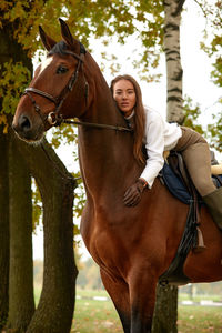 Horse standing on field