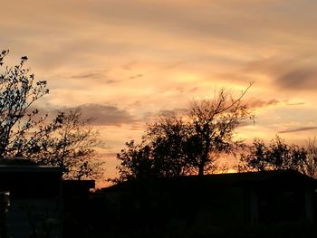 Silhouette tree against sky during sunset