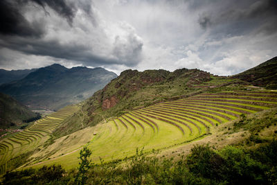 Scenic view of agricultural field against sky