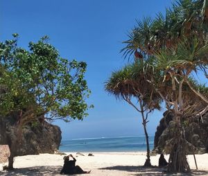 Scenic view of sea against clear blue sky