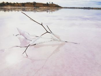 Close-up of lake against sky