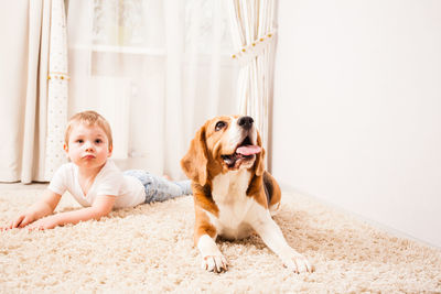 Portrait of cute dog sitting outdoors