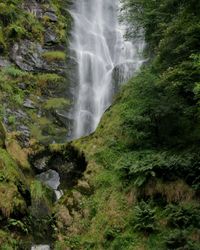View of waterfall in forest