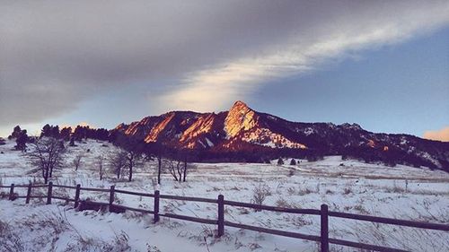 Scenic view of snow covered field