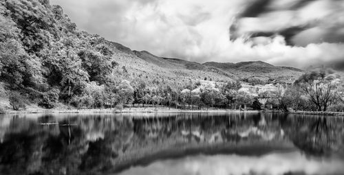 Scenic view of lake by trees against sky