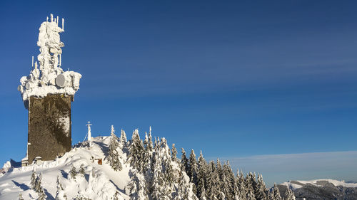 Low angle view of snow covered trees against blue sky