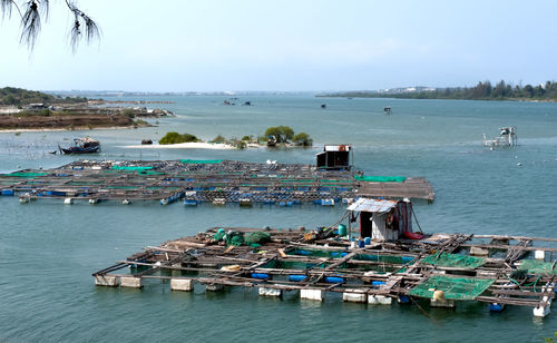 High angle view of ship moored at harbor