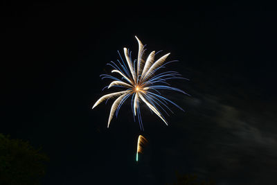 Low angle view of fireworks in sky at night
