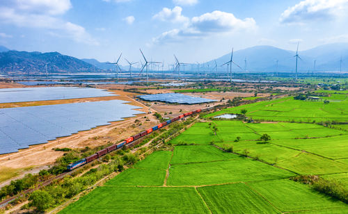 Scenic view of agricultural field against sky