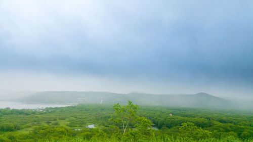 Scenic view of field against sky