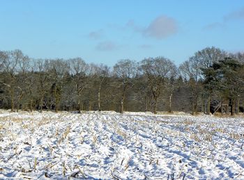 Scenic view of snow covered landscape