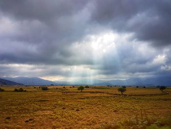 Scenic view of field against sky