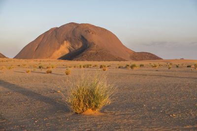 Scenic view of desert against sky