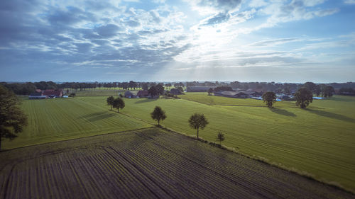 Scenic view of agricultural field against sky