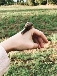 Midsection of person hand on land