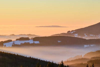 Panoramic shot of trees on landscape against sky